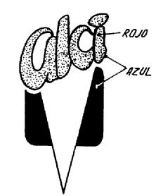 Imagen de ALCI