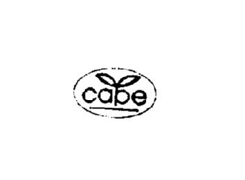 Imagen de CAPE