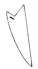 Imagen de M1748830