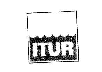 Imagen de ITUR