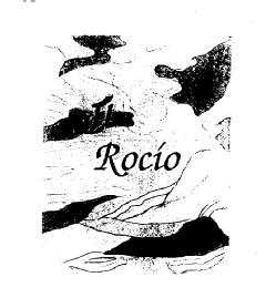 Imagen de EL ROCIO