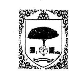 Imagen de M1747366