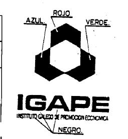 Imagen de IGAPE