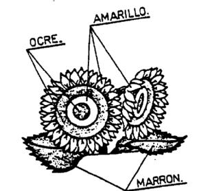 Imagen de M1759875