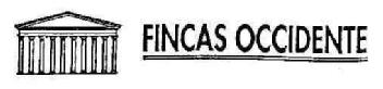 Imagen de FINCAS OCCIDENTE