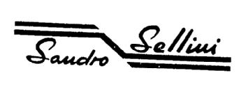 Imagen de SANDRO SELLINI