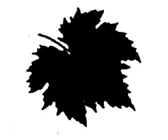 Imagen de M1953287