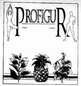 Imagen de PROFIGUR