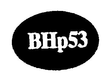 Imagen de BHP53 Imagen de BHP53