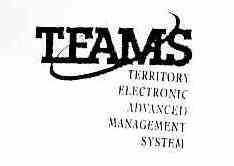 Imagen de TEAMS TERRITORY ELECTRONIC ADVANCED MANAGEMENT SYSTEM