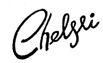 Imagen de CHELSEI