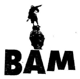 Imagen de BAM