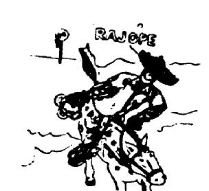 Imagen de RAJOPE