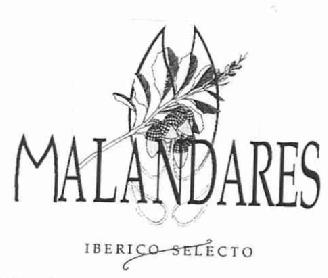 Imagen de MALANDARES IBERICO SELECTO