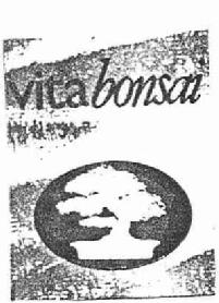 Imagen de VITABONSAI
