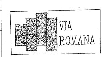 Imagen de VIA ROMANA