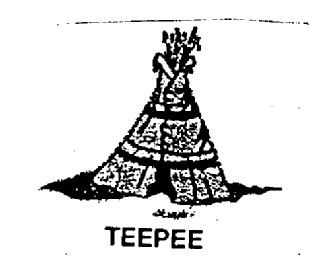 Imagen de TEEPEE