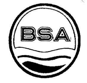 Imagen de BSA