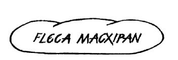 Imagen de FLECA MACXIPAN