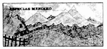 Imagen de ESPECIAS MENDIKO