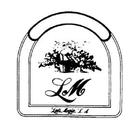 Imagen de LM LUIS MEGIA S.A