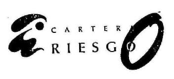 Imagen de CARTERA RIESGO