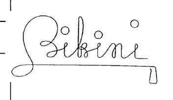 Imagen de BIKINI