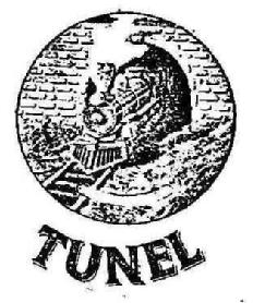 Imagen de TUNEL