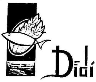 Imagen de DIDI