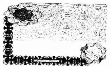 Imagen de M1972389(X)