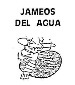 Imagen de JAMEOS DEL AGUA