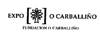 Imagen de EXPO O CARBALLIÑO FUNDACION O CARBALLIÑO