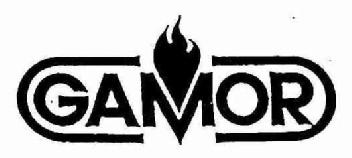 Imagen de GAMOR
