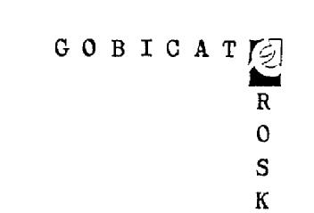 Imagen de GOBICAT EROSKI