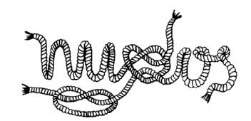 Imagen de NUDOS