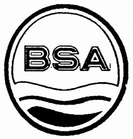 Imagen de BSA