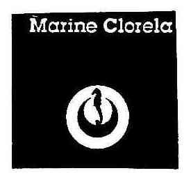 Imagen de MARINE CLORELA