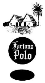 Imagen de FARTONS POLO