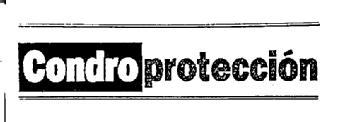 Imagen de CONDROPROTECCION