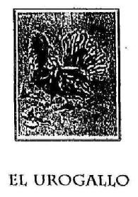 Imagen de EL UROGALLO