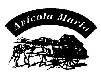 Imagen de AVICOLA MARIA