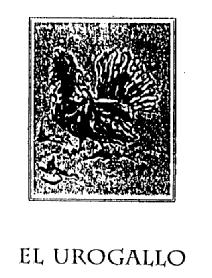 Imagen de EL UROGALLO
