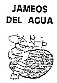 Imagen de JAMEOS DEL AGUA
