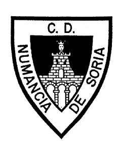 Imagen de C.D. NUMANCIA DE SORIA
