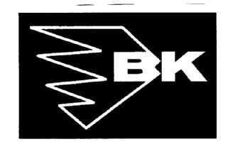 Imagen de BK