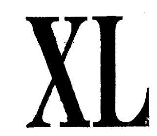 Imagen de XL