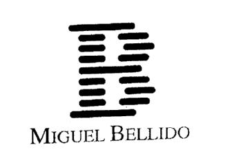 Imagen de B MIGUEL BELLIDO
