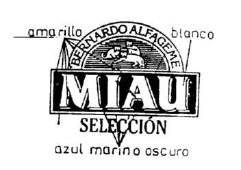 Imagen de BERNARDO ALFAGEME MIAU SELECCION