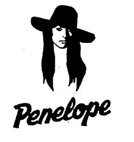 Imagen de PENELOPE