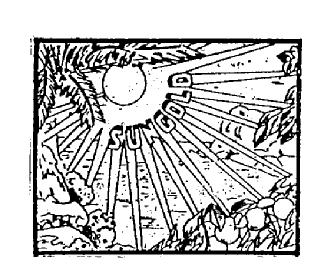 Imagen de SUNGOLD